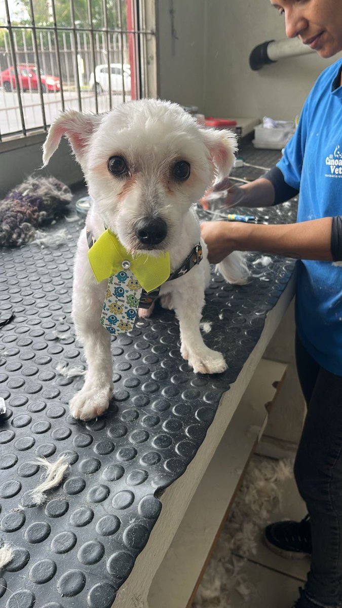 Canoes Vet Center Dr. Diva Schmidt