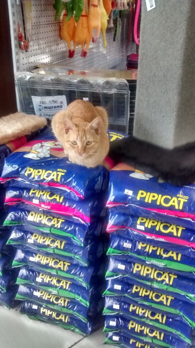 The Grange Veterinary Products