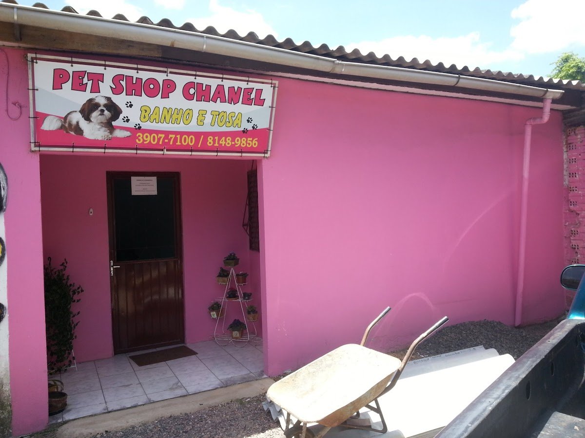 Pet Shop Chanel