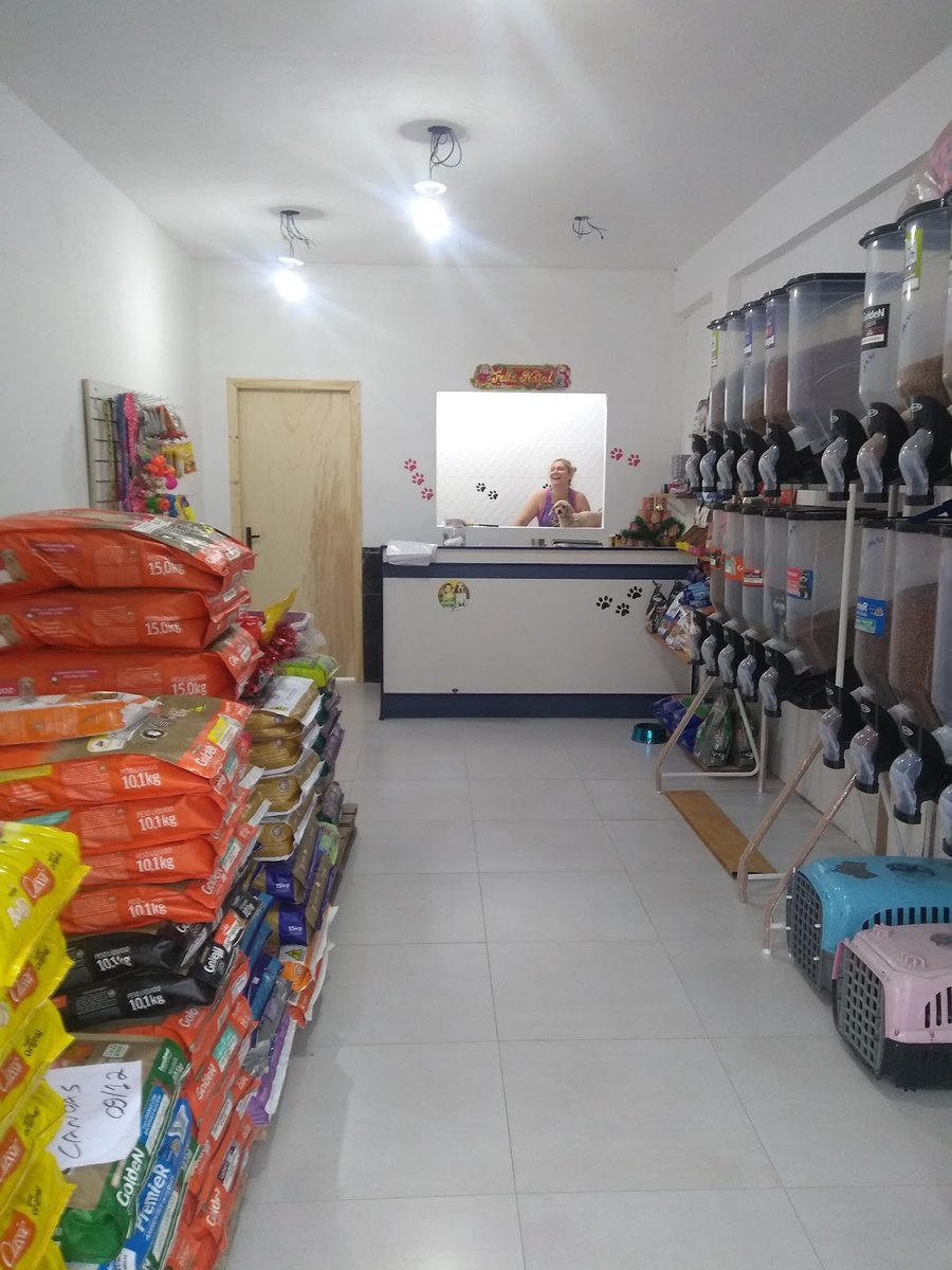 Pet Shop Cachorrinho De Madame