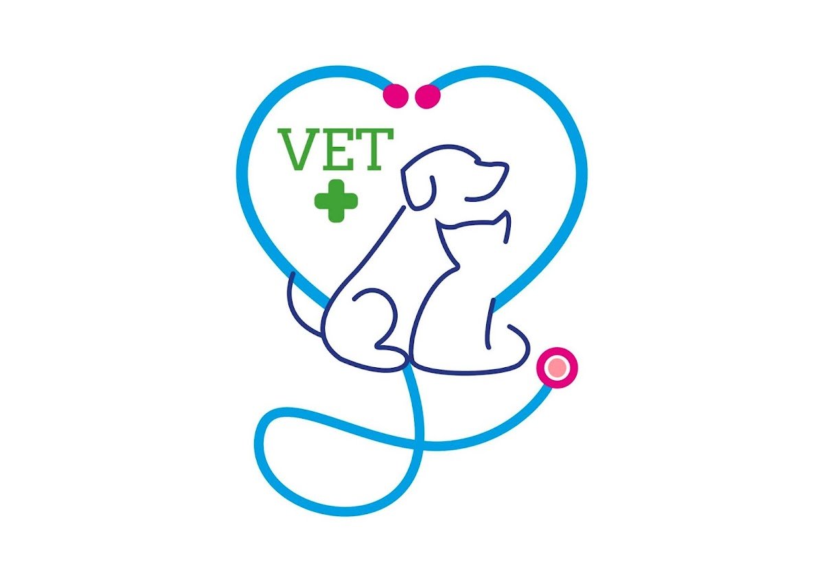 Vet + Consultório Veterinário