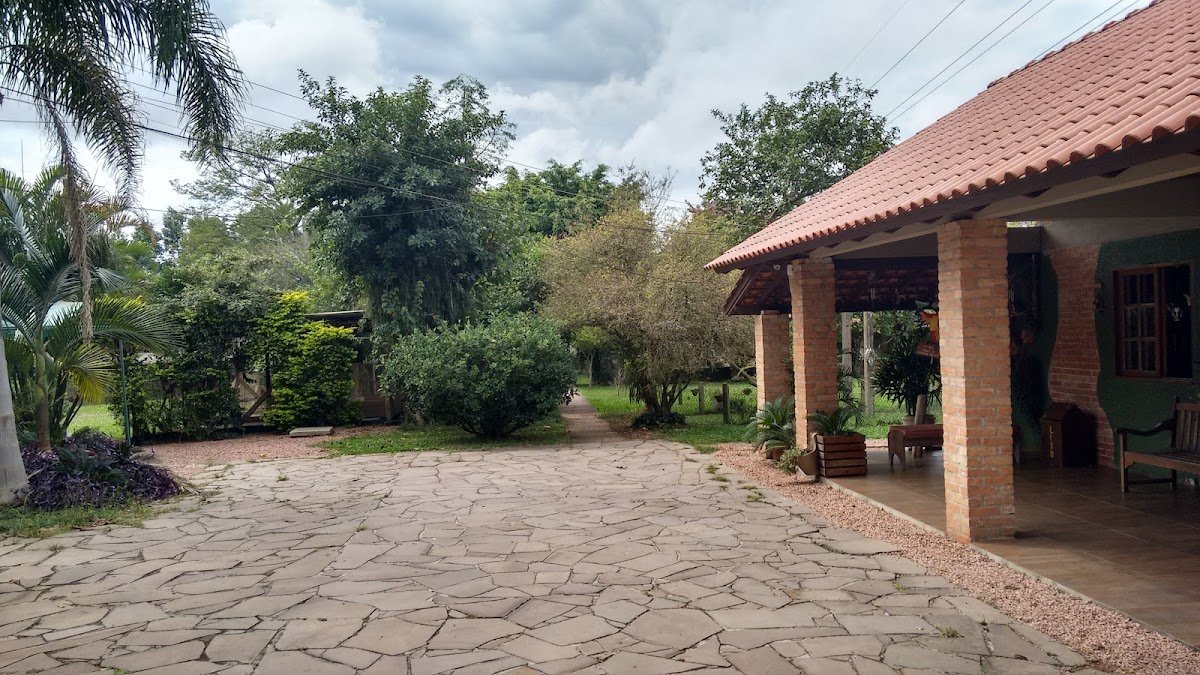 Dog's Plaza Spa Para Cães e Gatos