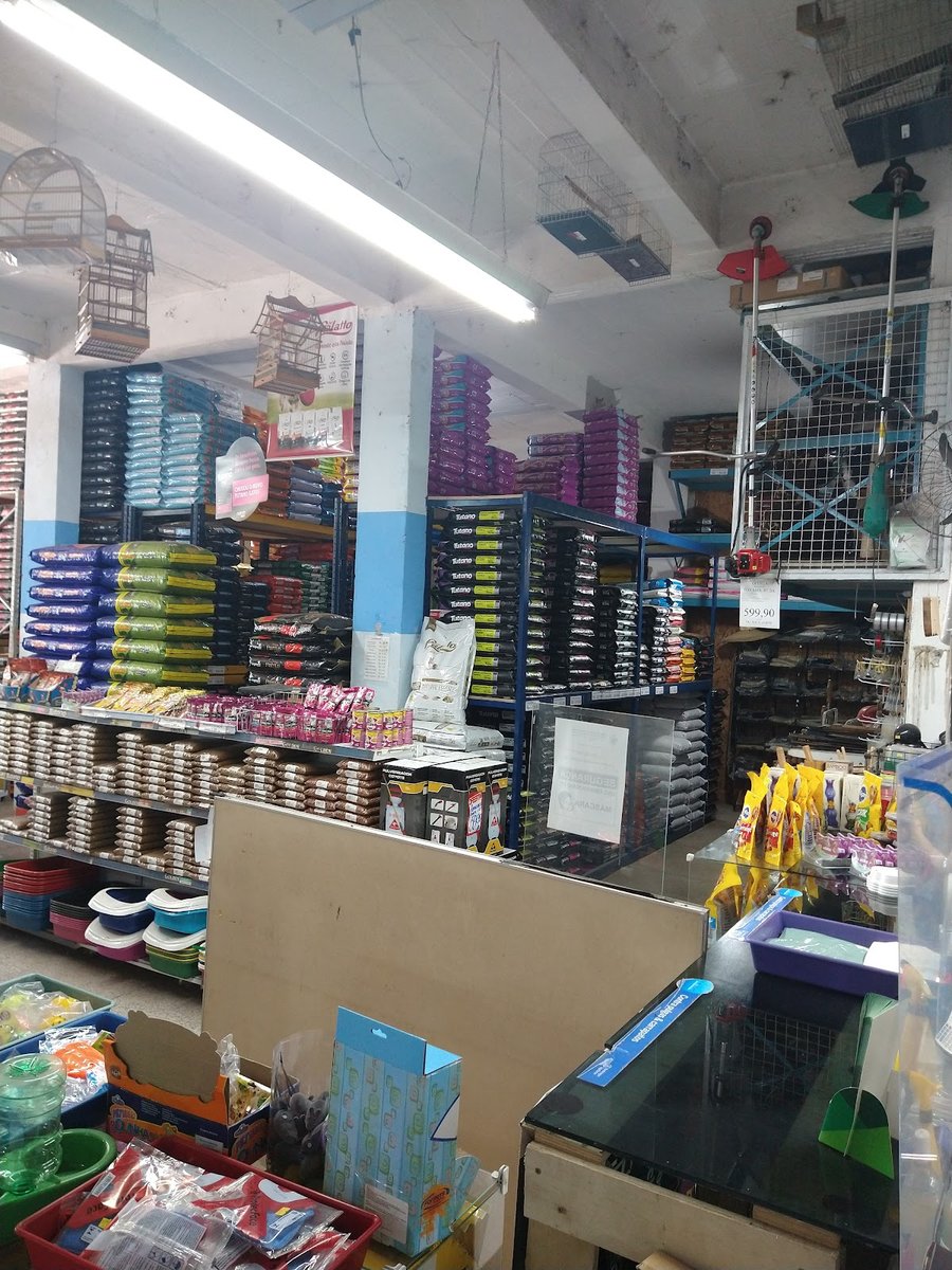 Central Vet Piratini