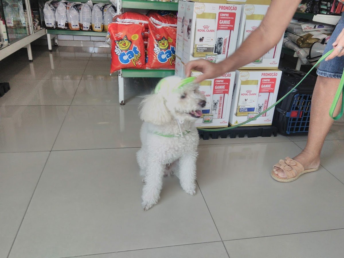 Clinical Arionaldo de Sá