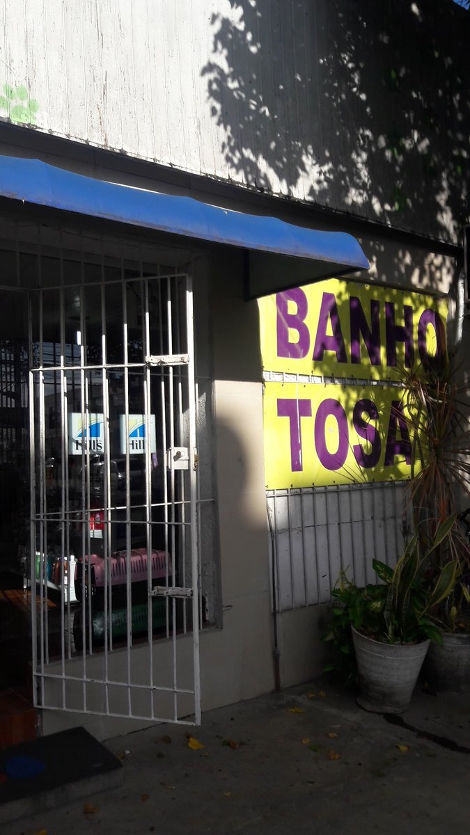 Pet Shop Bicho Treloso