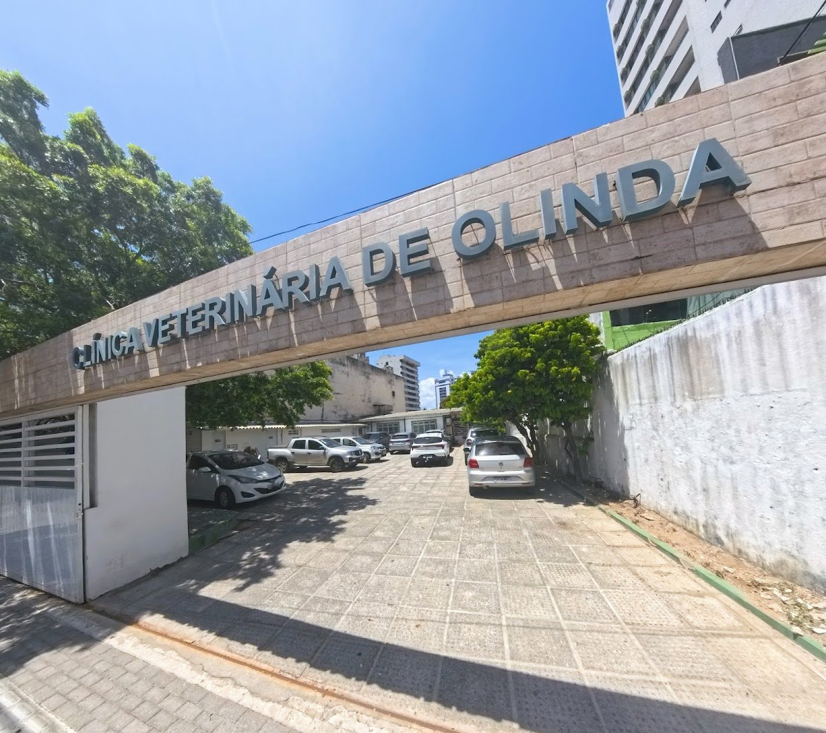 Paulo Calumby Consultório Veterinário