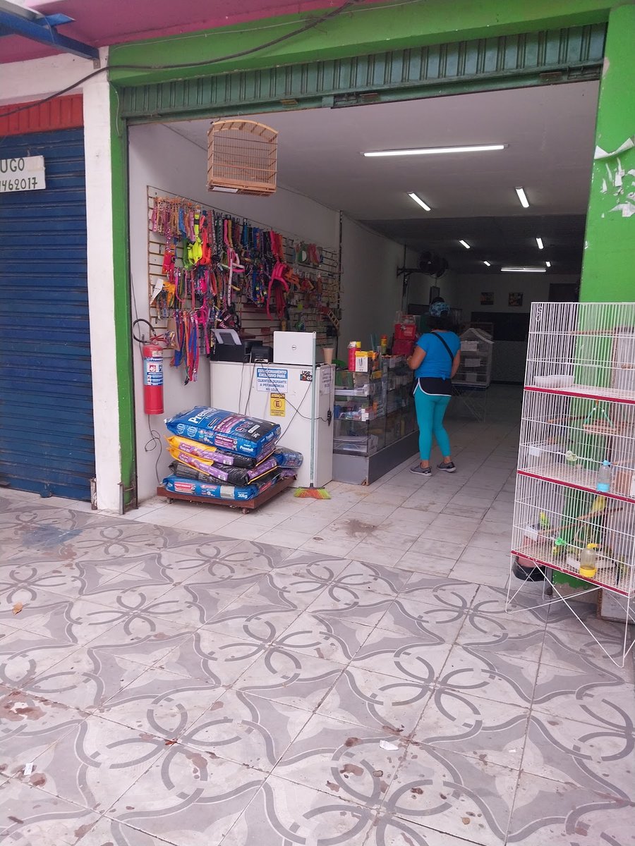 Pet Shop Bicho Jeitoso