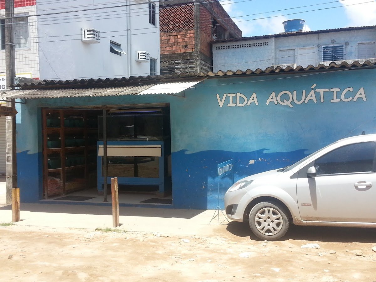 Tropical Fish Aquatica life