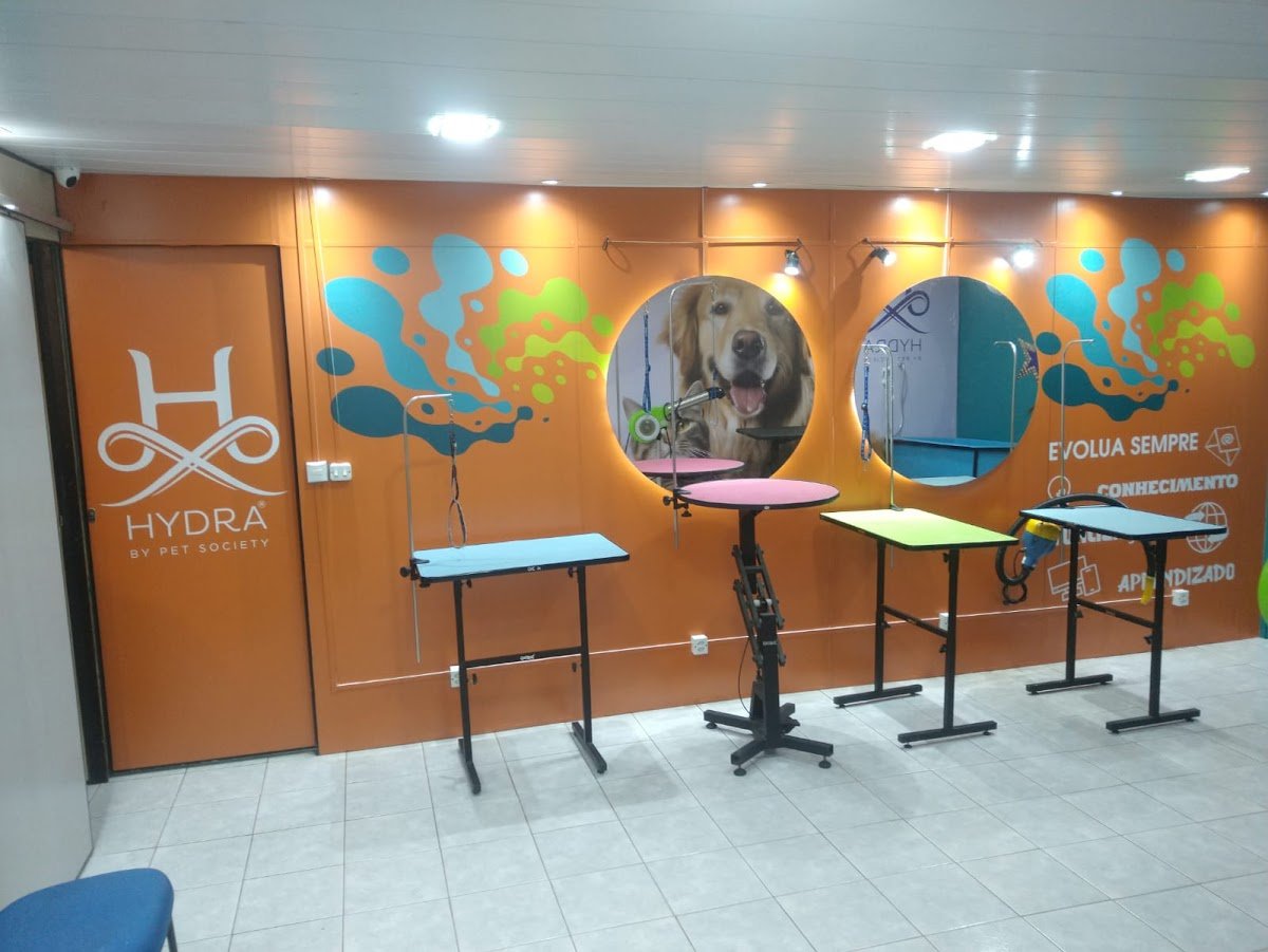 Amoedo Distribuidora