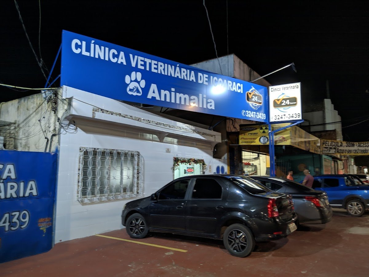 Consultório Veterinário Animállia