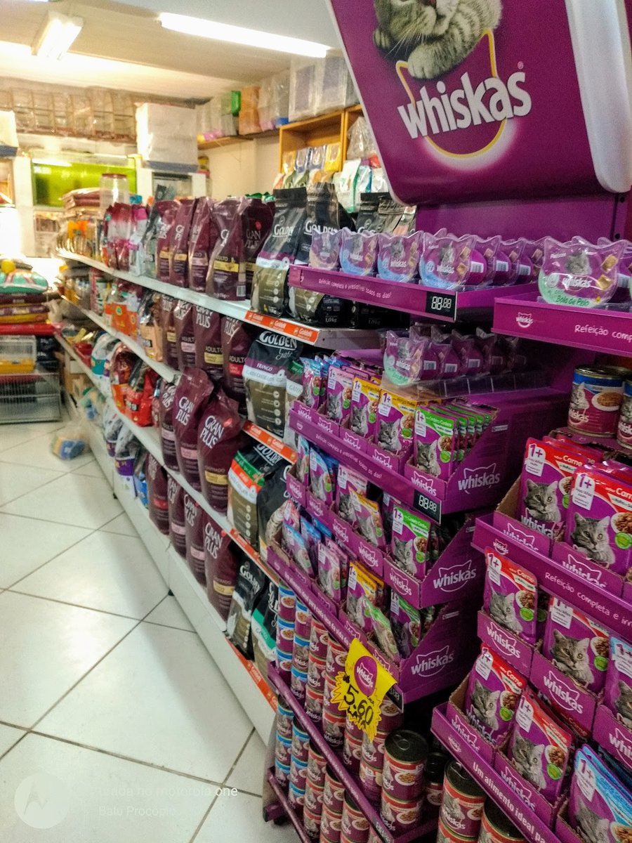 Pet Shop Cães, Gatos e Cia