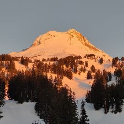 Space City Pet Cremations