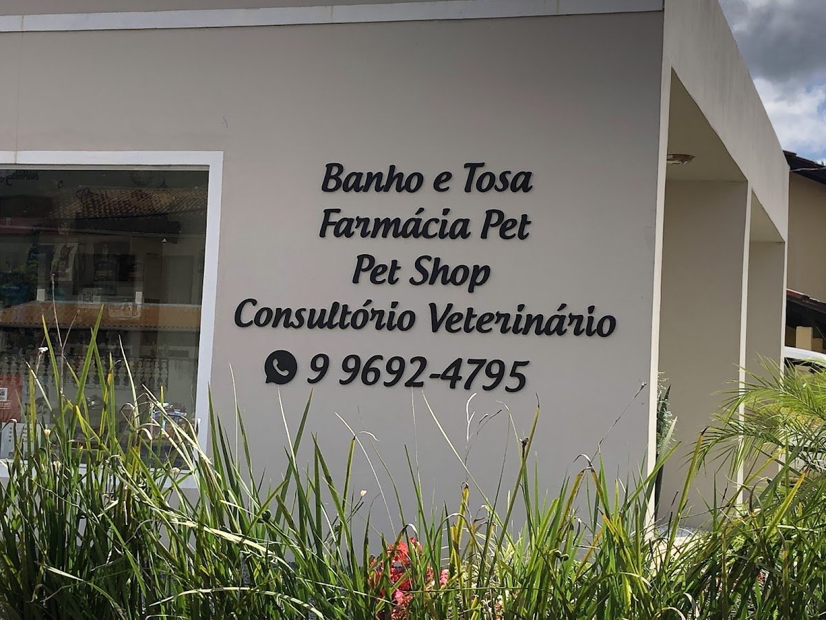 Anjo de Quatro Patas