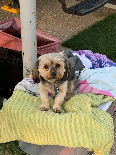 Mostly Mutts Pet Sitting