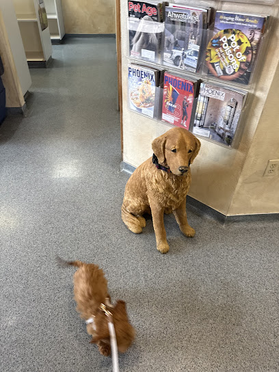 Ahwatukee Animal Care Hospital