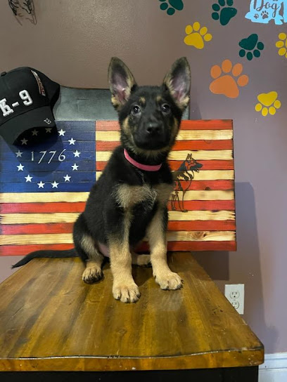 All phase k9 tactical