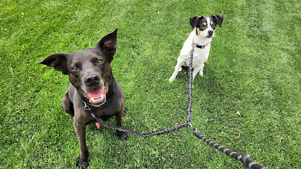 Jenny the Dog Walker