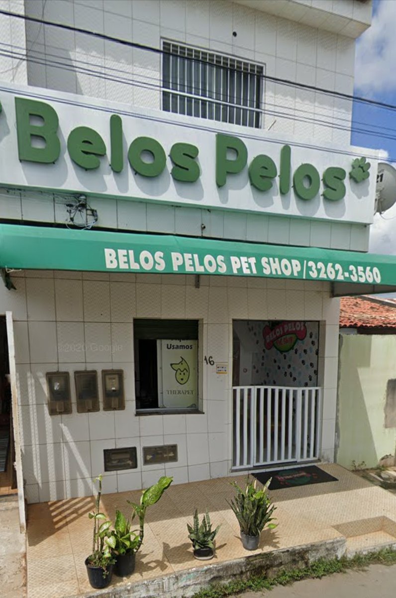 Belos Pelos Pet Shop