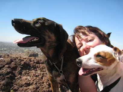 Four Paws Adventures