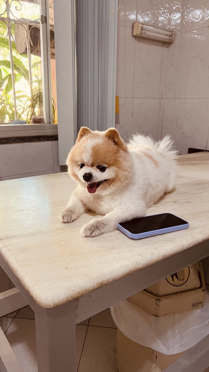 Quatro Patas Clínica Veterinária