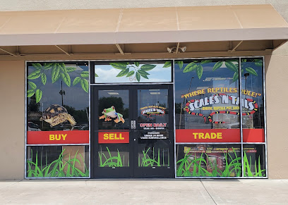 Scales 'N Tails Phoenix West