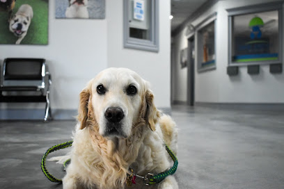 Bark Avenue Pet Resort