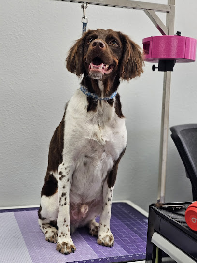 Bark Avenue Pet Salon