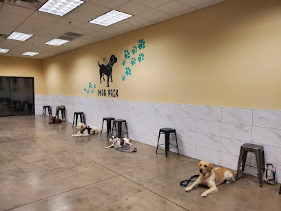 Mak Pack Dog Training & Boarding