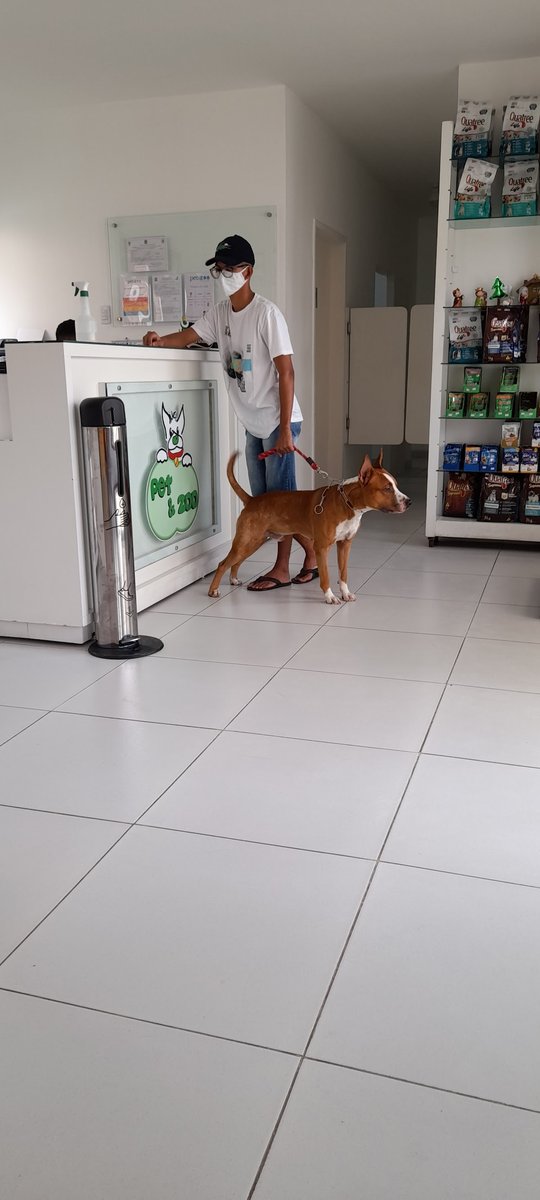 Clínica Veterinária Pet & Zoo