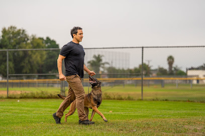 Ironwood Dog Training