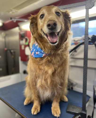 Rub a Dub Dog Mobile Pet Wash LLC