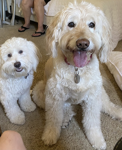 Valerie’s pet services