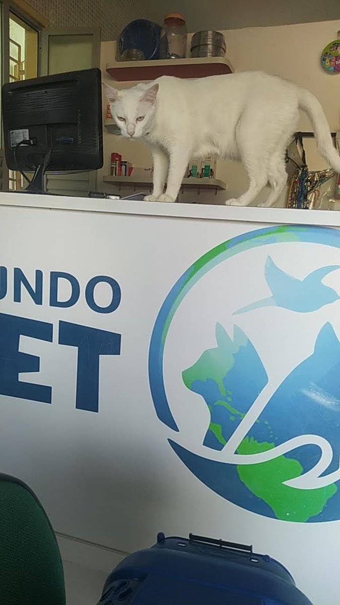Consultorio Veterinario Mundo Pet