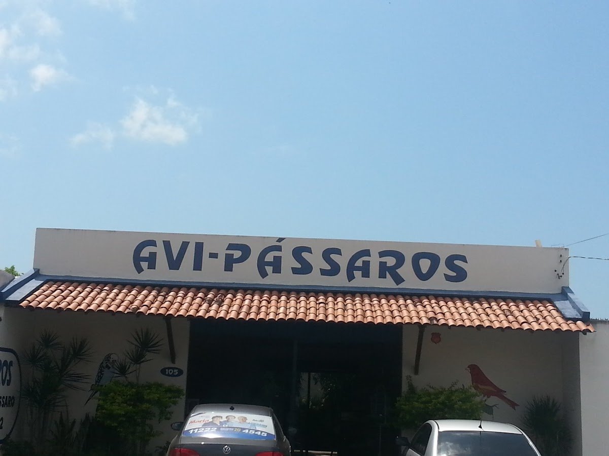 AVI - Pássaros