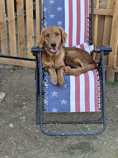 Duke's K-9 Lodge, LLC