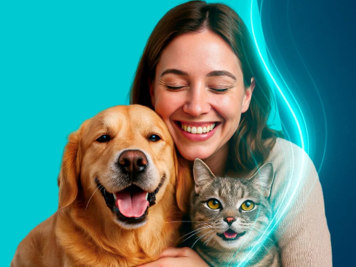 Fratello Clínica Veterinária