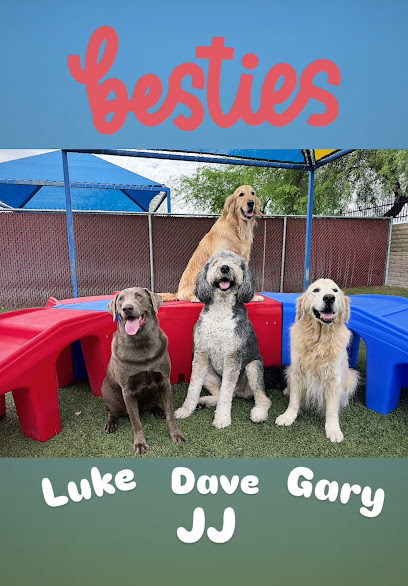 Doggie District - Paradise Valley