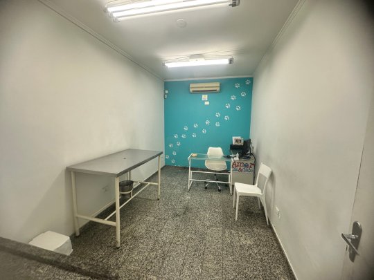 Www Amorcaoegato Com Br