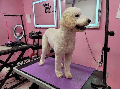 Le Pink Pooch Dog And Cat Grooming Salon LLC