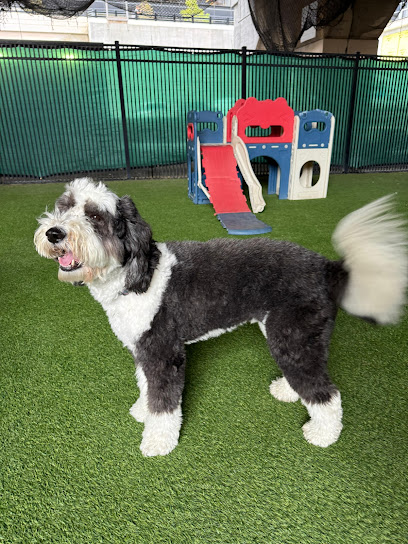 Doggie VIP Riverwalk