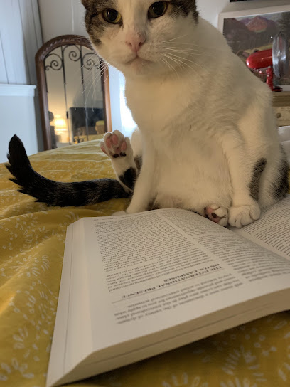 PAWS Spay/Neuter and Wellness Clinic