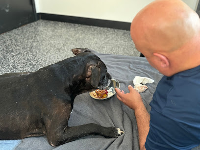 Wyncote Animal Hospital