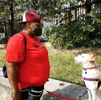 Egghead Canine Education