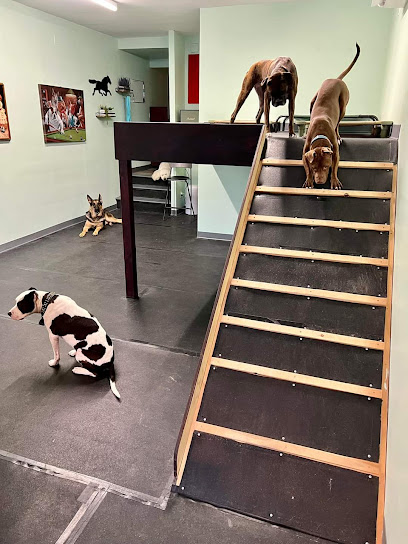 Philly Canine Social Club