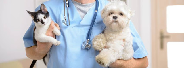 The Pet Mechanic Fishtown