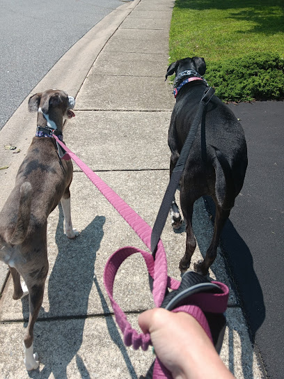 Lori's Pet Sitting Services