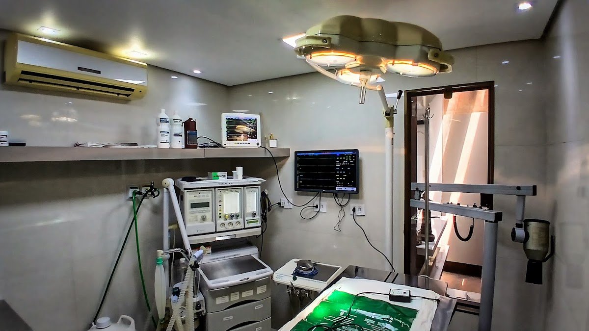 Vet Dog Clínica Veterinária