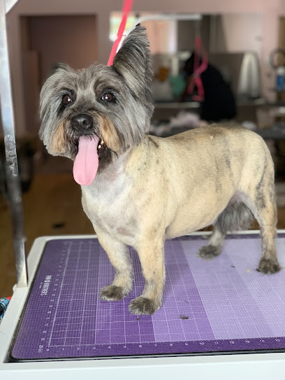 A&B Quality Pet Styling Salon