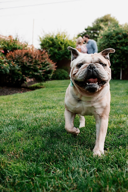 Roam Away From Home PA