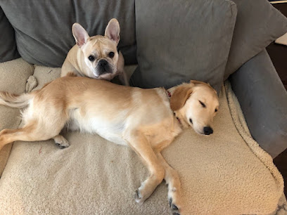 Philadelphia Pet Care Company